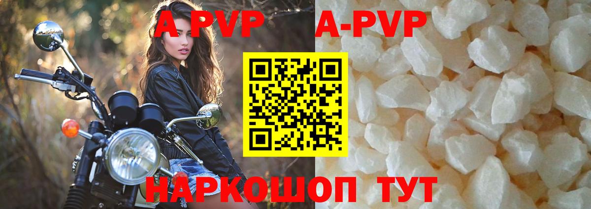 A PVP СК Соликамск