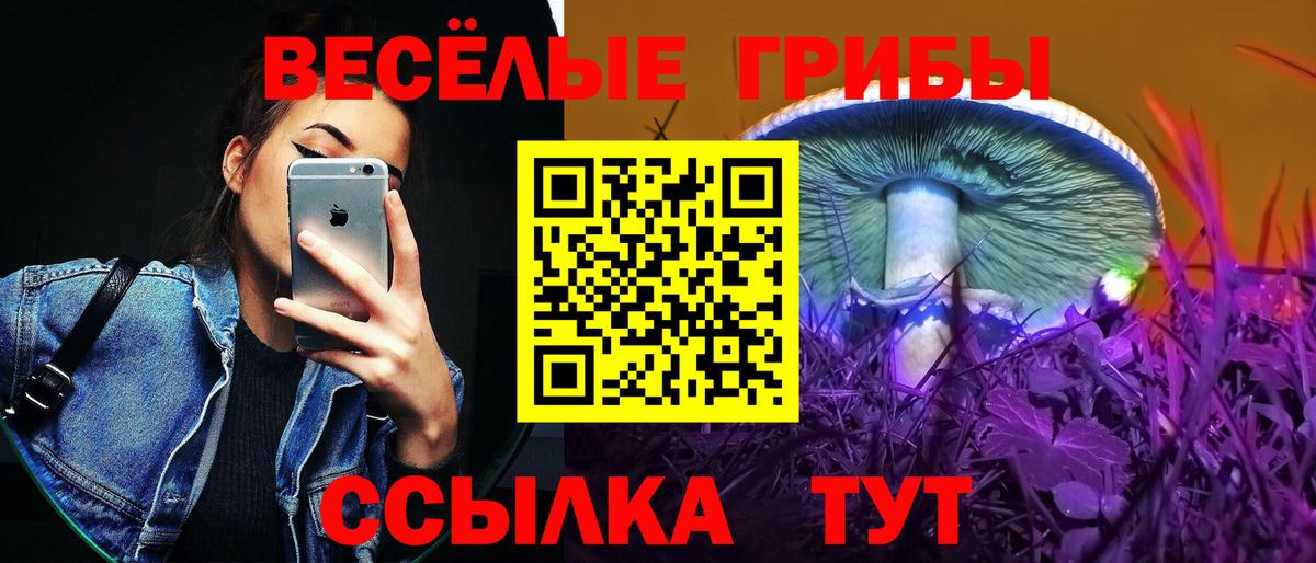 Галлюциногенные грибы GOLDEN TEACHER  Псилоцибиновые грибы Psilocybe  Соликамск  Вход с VPN 